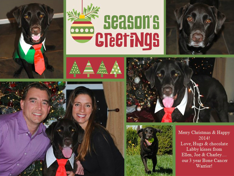 Christmas-Card-2013.jpg